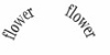 flower flower